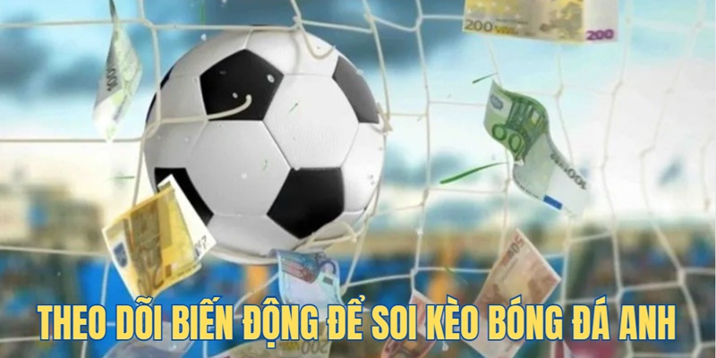 meo-soi-keo-hang-anh-bang-theo-doi-bien-dong