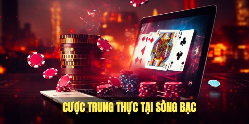 casino-vipwin-cuoc-trung-thuc