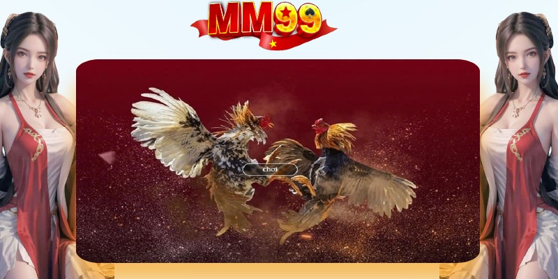 gioi-thieu-chung-ve-sanh-da-ga-mm99